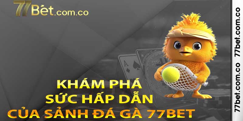 Khám phá sức hấp dẫn của sảnh đá gà 77bet